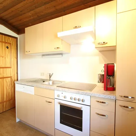 Spacious Apartment Near Ski Area In Mittersill Exterior photo