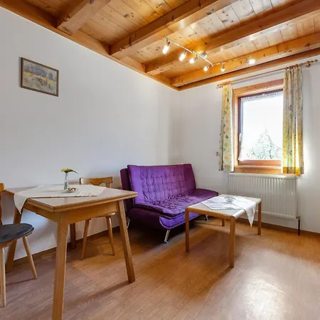 Spacious Apartment Near Ski Area In Mittersill Exterior photo